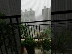 Home Invisibile Griglie di sicurezza fisse Antirrugine per la sicurezza dei bambini e degli animali domestici