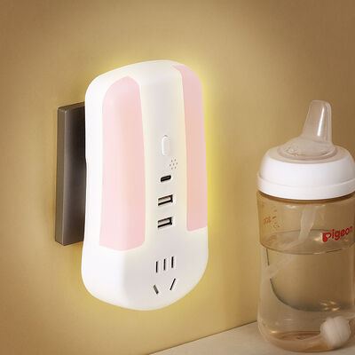 Portable Power Socket Power Management and Distribution