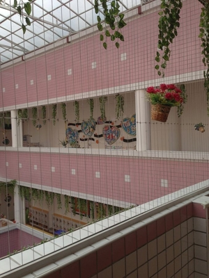 316 fili in acciaio inossidabile con griglia di balcone invisibile rivestita in nylon