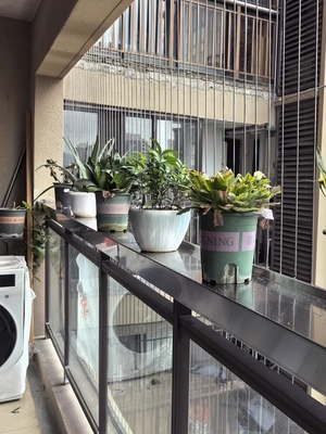 Griglie da balcone a fili di acciaio a 3 mm con capacità di 100 kg