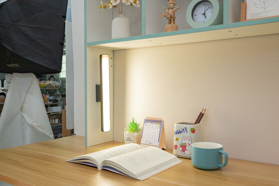 Lampada di attrazione magnetica che offre una temperatura di colore di 3000-6500 K per attività di ispezione e garanzia dettagliate