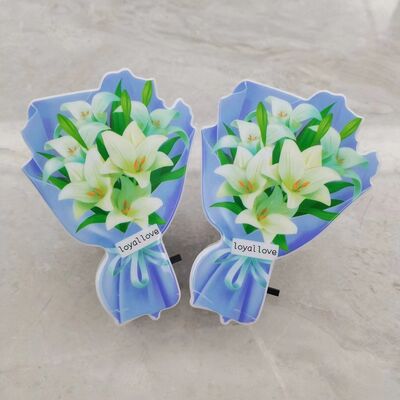 LED Plug In Night Light Lamp Slide Switch Control Soluzione di illuminazione conveniente Adatta per camera da letto e scalinata