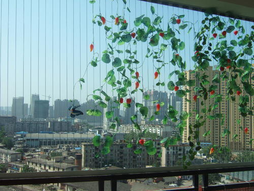 Invisibile Grille Flower Pot Clip Crossing Modello Tipo AG3-1.6mm Ideale per edifici di altezza e applicazioni di sicurezza urbana