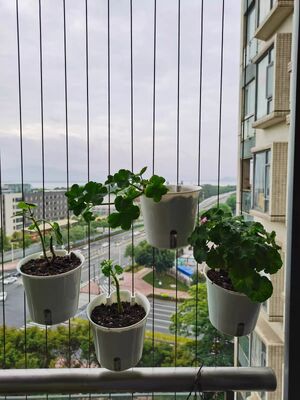 Adatto per grigliare all'interno e all'esterno accessori di griglia invisibili vaso di fiori di plastica per grigliare
